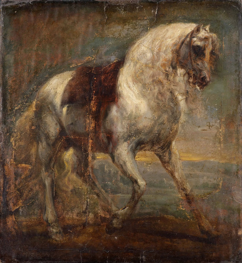 Szary koń - Antoine van Dyck