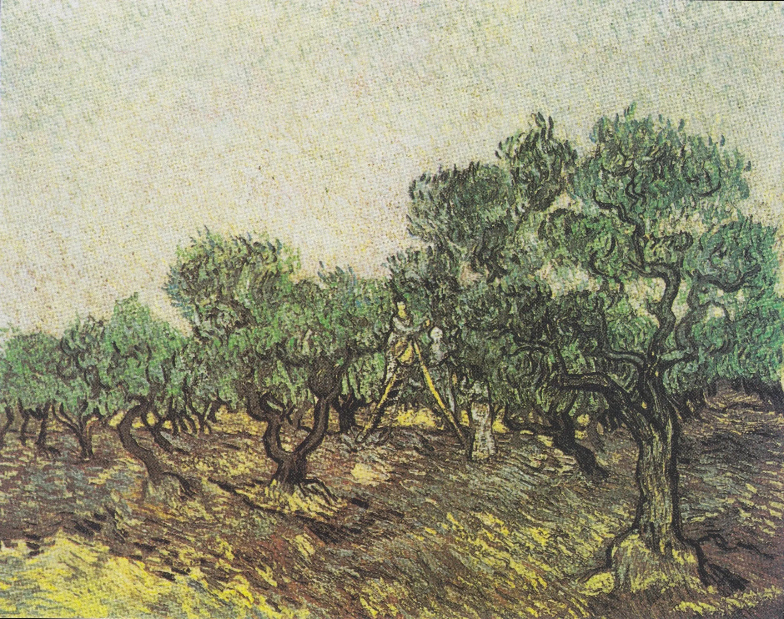 Reproduction du tableau « Cueillette des olives - Vincent van Gogh » par Alpha Reproduction en peinture à l’huile
