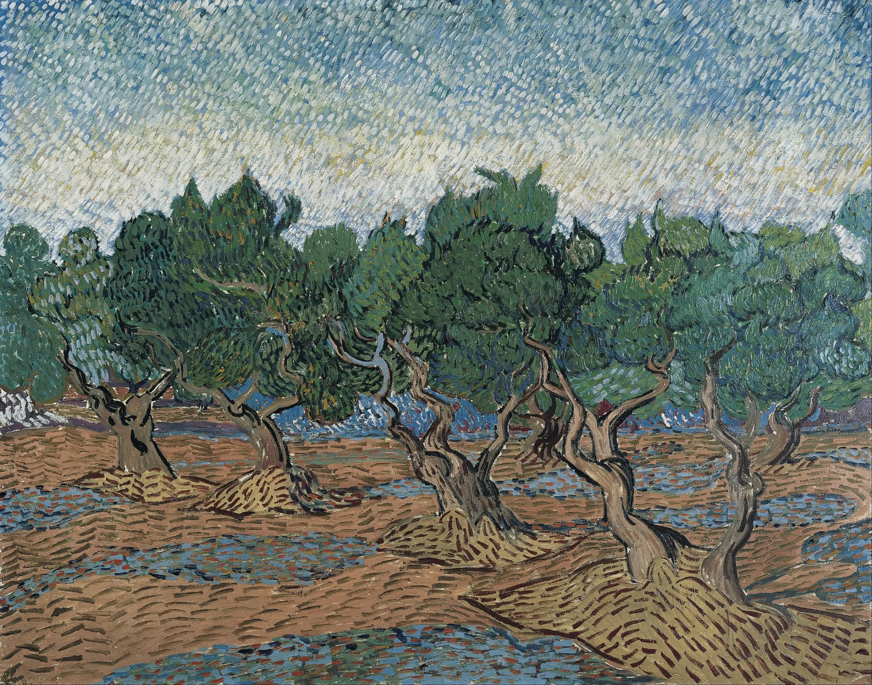 Reproduction du tableau « Oliveraie - Vincent van Gogh » par Alpha Reproduction en peinture à l’huile