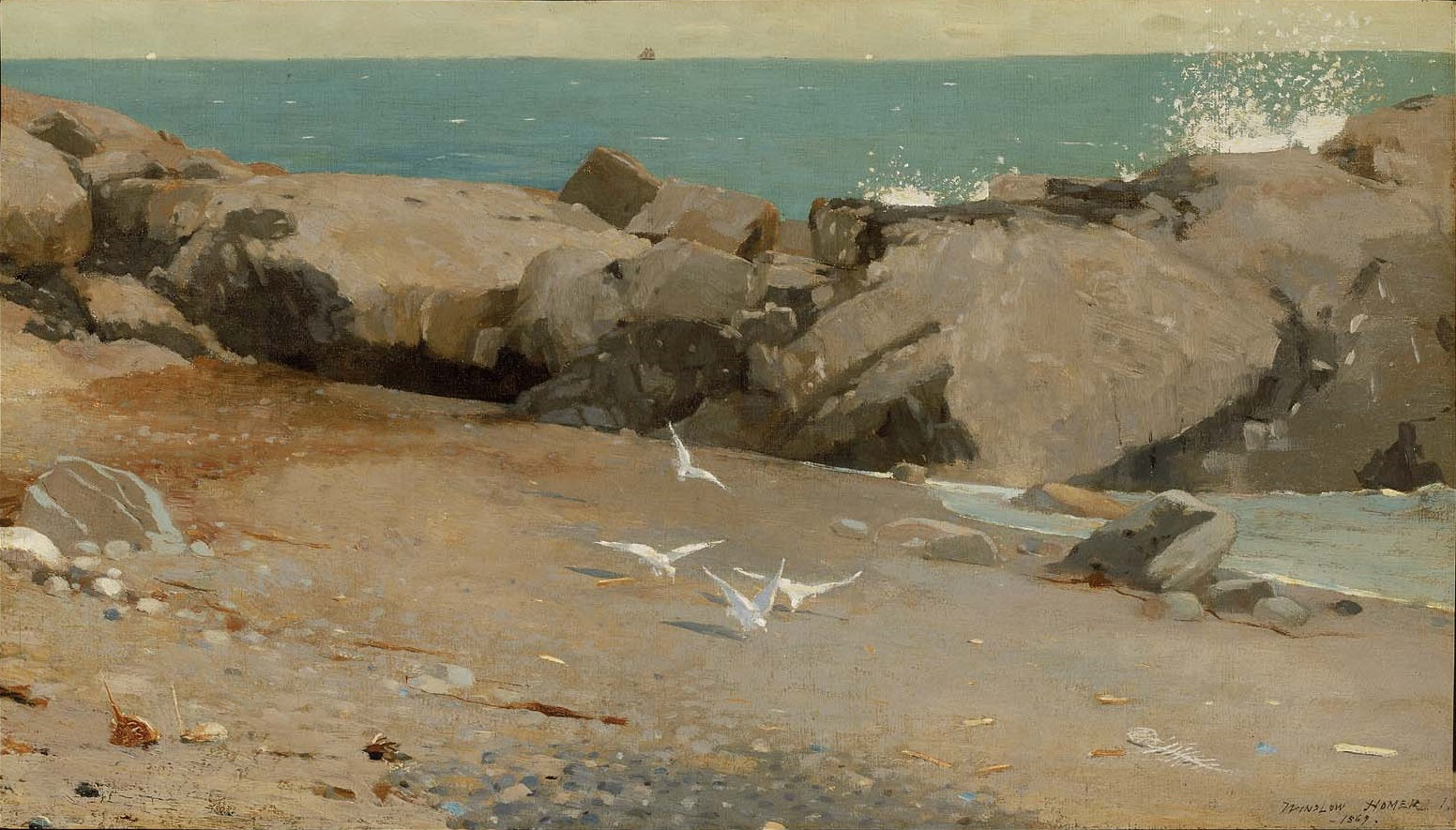 Côte rocheuse et goélands - Winslow Homer