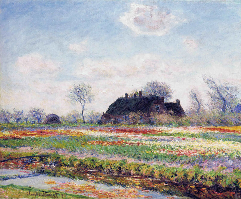 W Sassenheim koło Haarlemu, pole tulipanów - Claude Monet