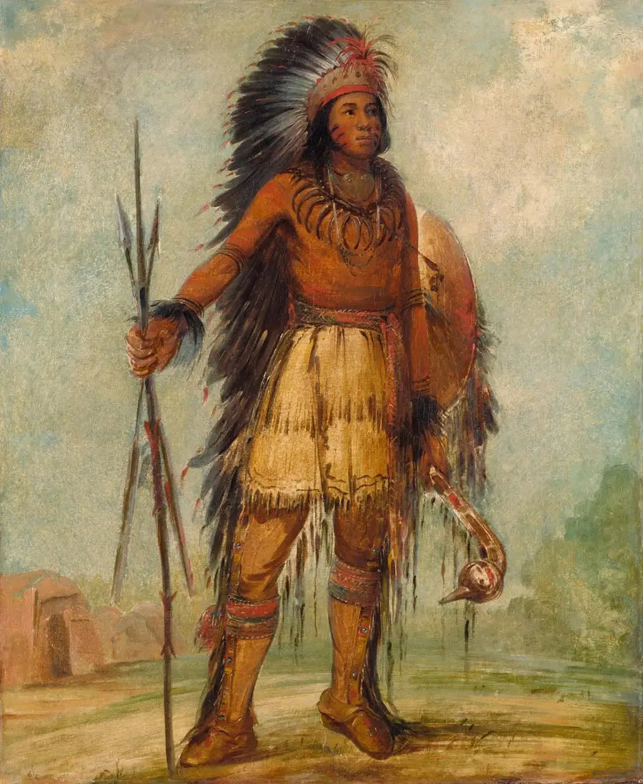 A-wun-ne-wa-be, ptak burzy - George Catlin