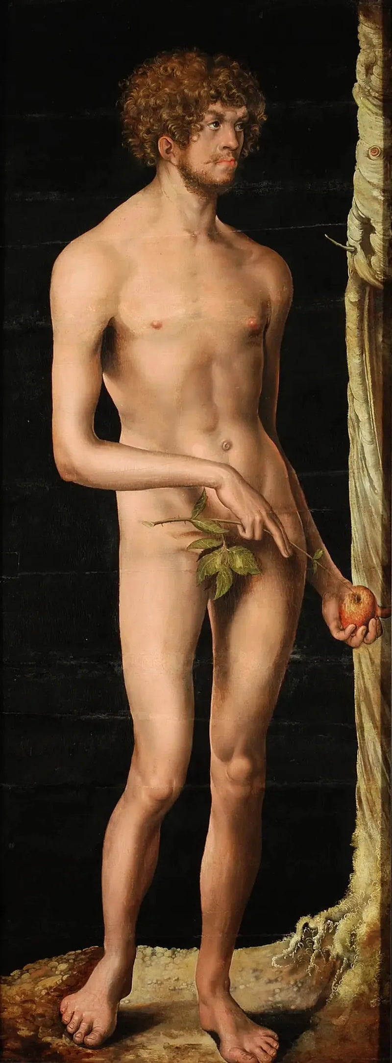 Adam - Lucas Cranach Starszy