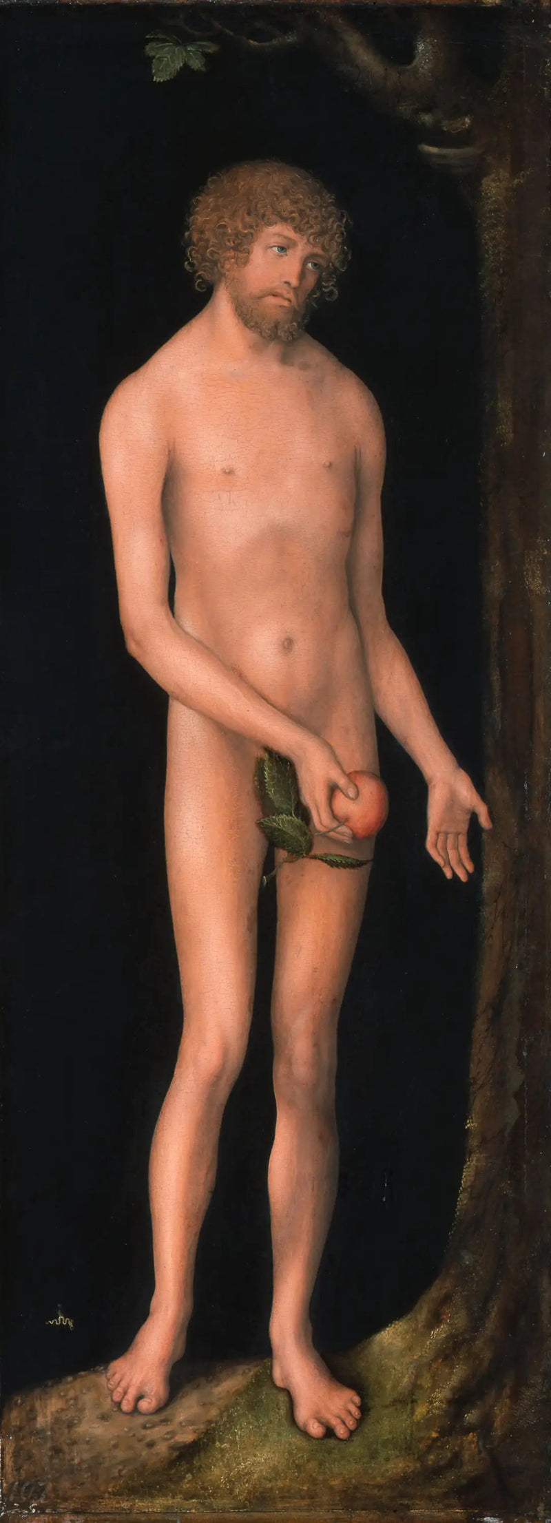 Adam - Lucas Cranach Starszy