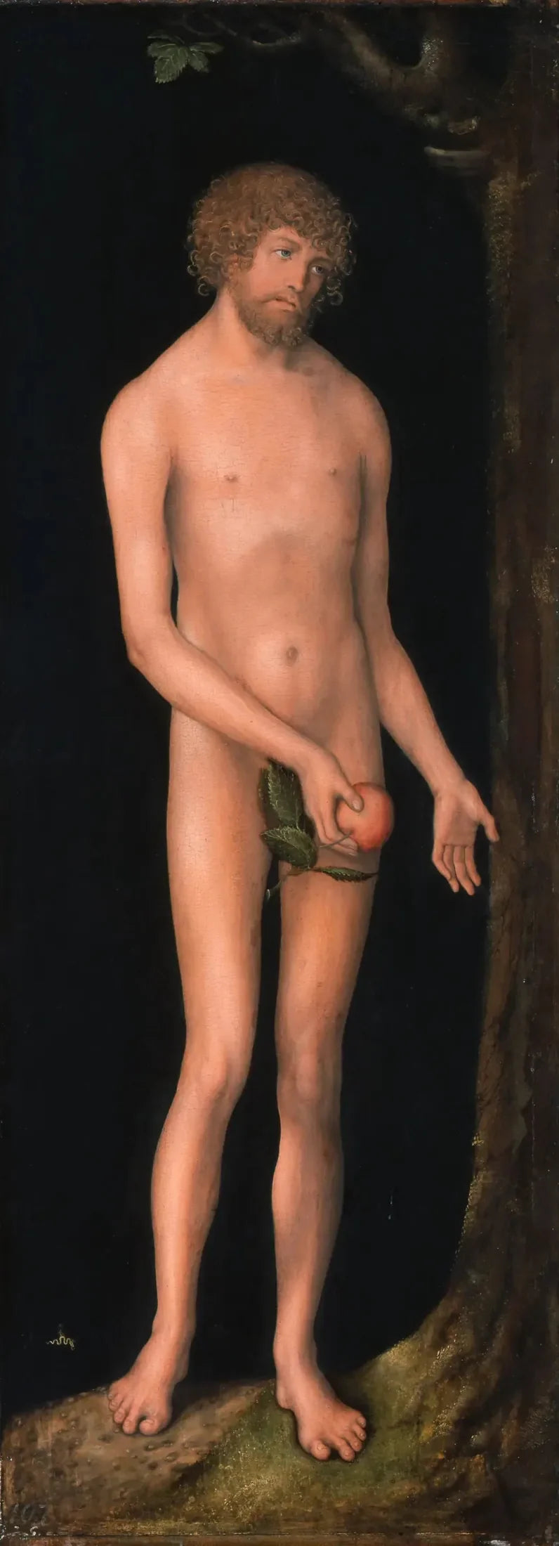 Adam - Lucas Cranach Starszy