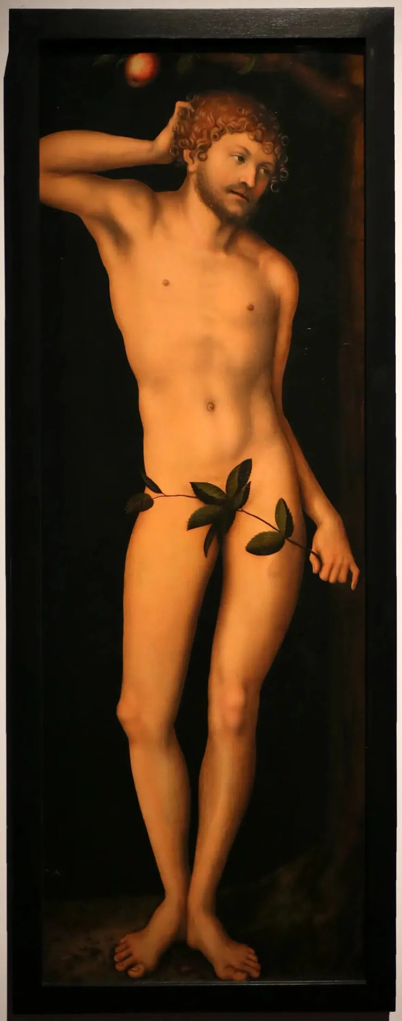 Adam - Lucas Cranach Starszy