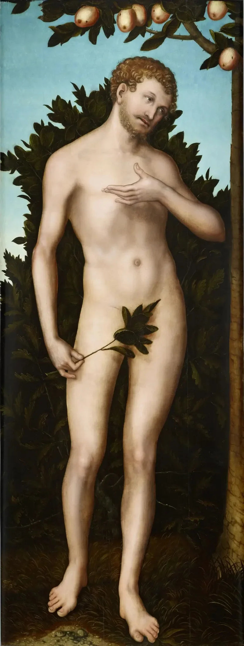 Adam - Lucas Cranach Starszy