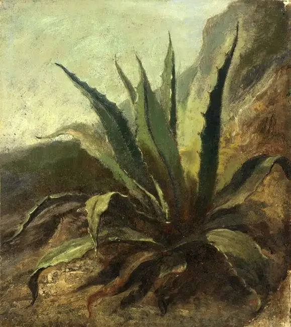 Agawa w Maroku - Eugène Delacroix
