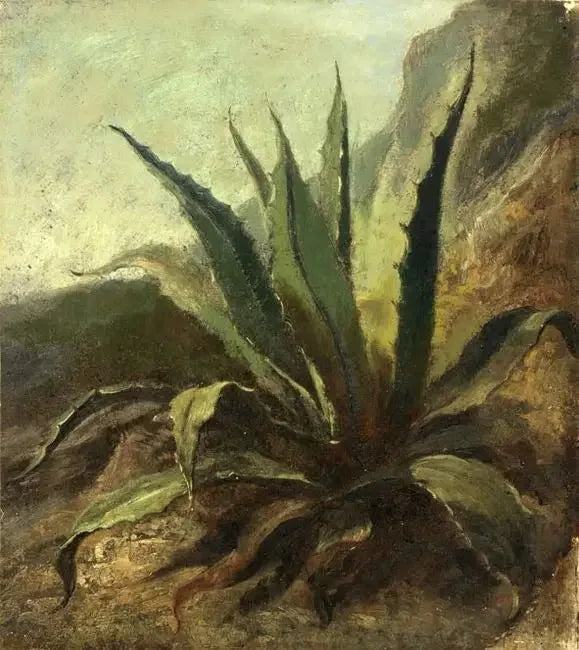 Agawa w Maroku - Eugène Delacroix
