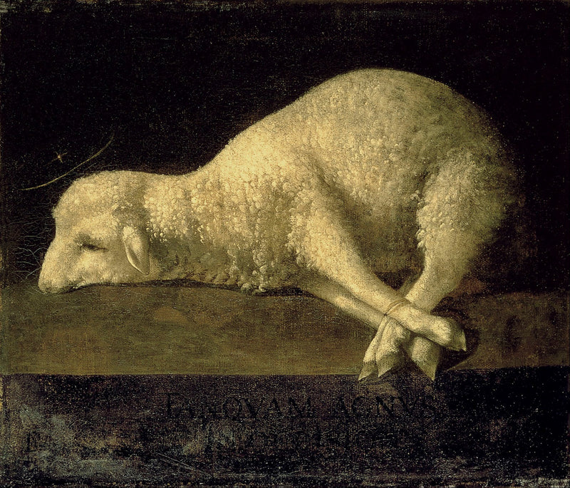 Agnus Dei (1639) - Francisco de Zurbarań