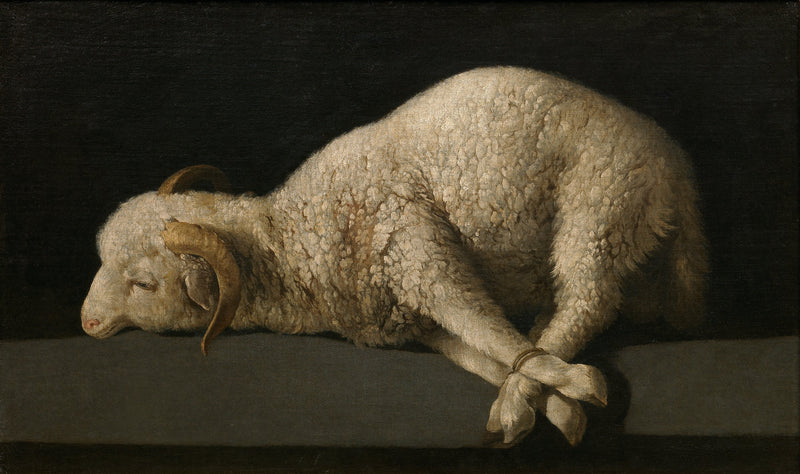 Agnus Dei - Francisco de Zurbarań