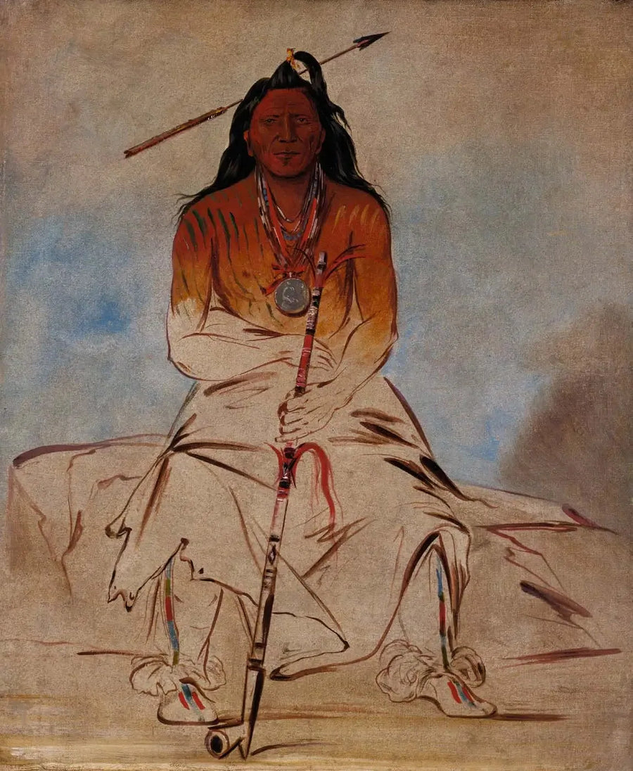 Ah-sháw-wah-róoks-te, koń medyczny, Wielki Odważny Pawnee - George Catlin