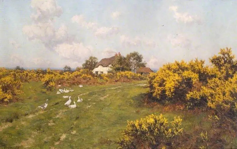Żółte trawy na terenie gminnym w Berkshire (Bucklebury Common) - Edward Wilkins Waite