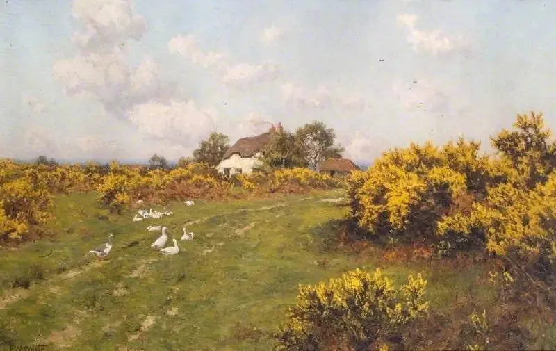 Żółte trawy na terenie gminnym w Berkshire (Bucklebury Common) - Edward Wilkins Waite
