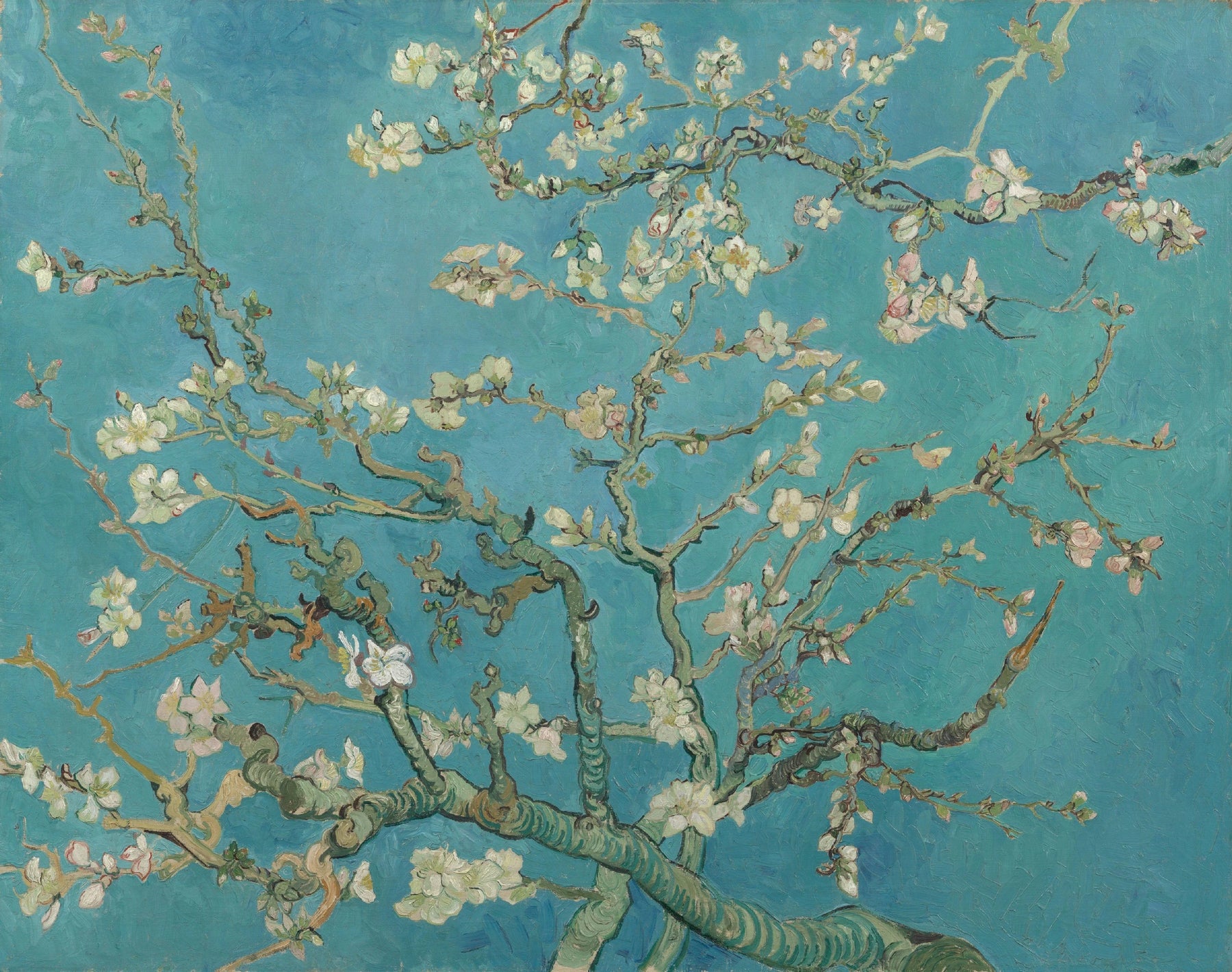 Amandier en fleurs de Vincent van Gogh, février 1890, Van Gogh Museum, Amsterdam