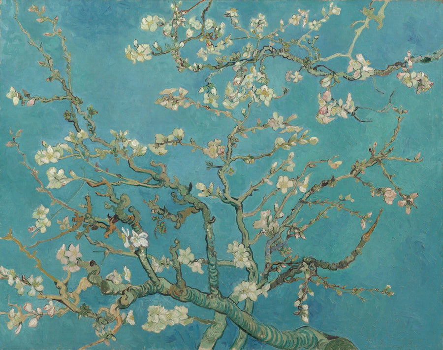 Migdałowiec w kwiatach - Vincent van Gogh