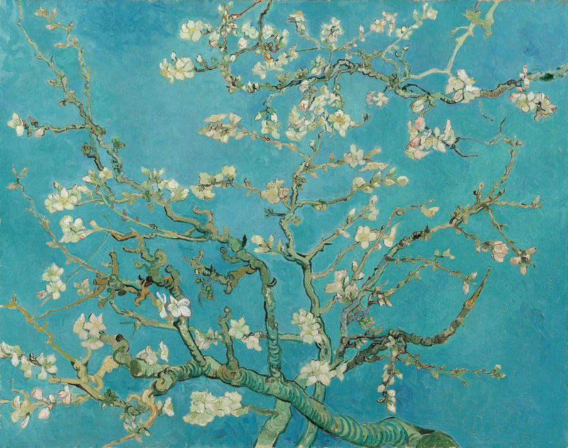 Migdałowiec w kwiatach - Vincent van Gogh