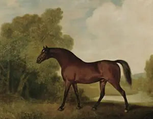 Ambrosio, kasztanowy ogier, własność Thomasa Haworth'a - George Stubbs