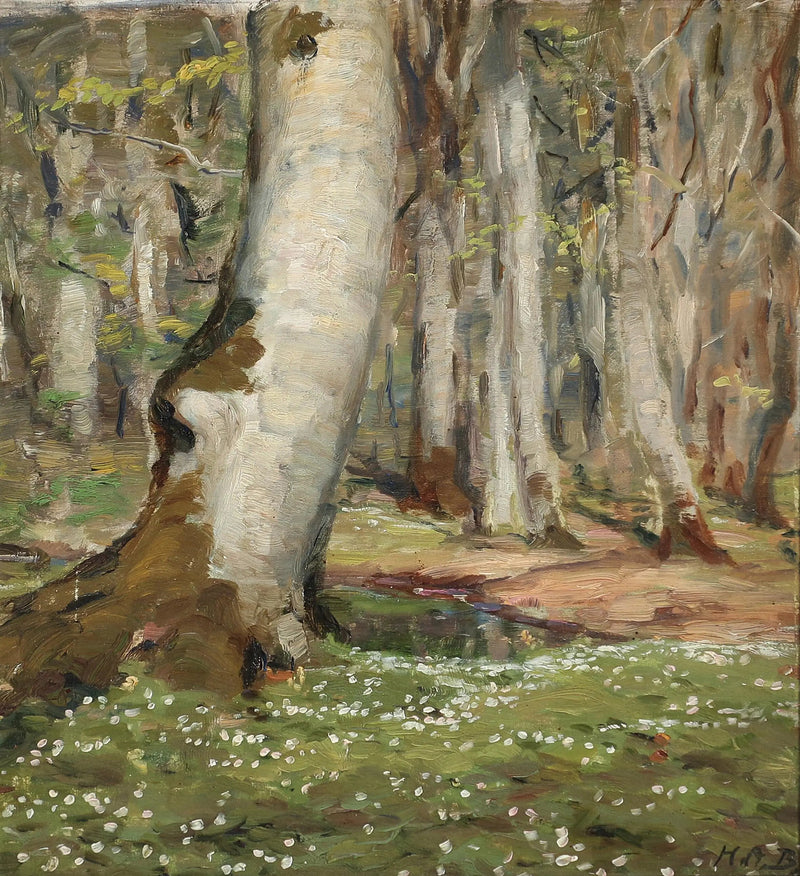 Anemony w lasach na wiosnę. - H. A. Brendekilde