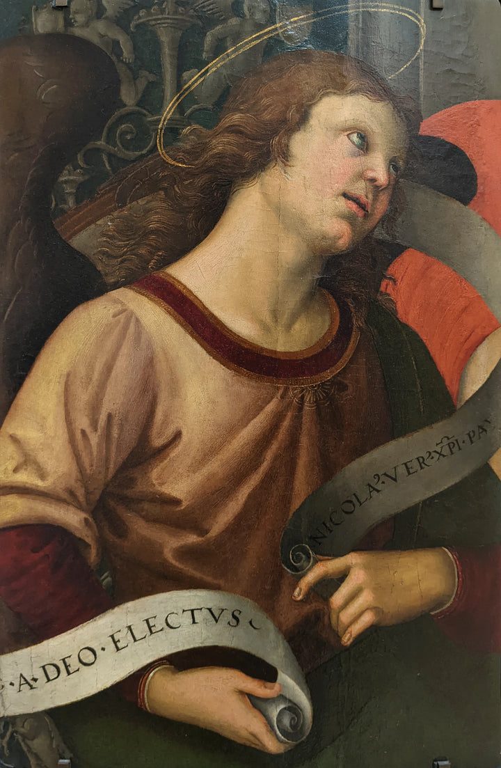 Anioł trzymający filakterium, fragment ołtarza Baronci, około 1500-1501 - Raphaël