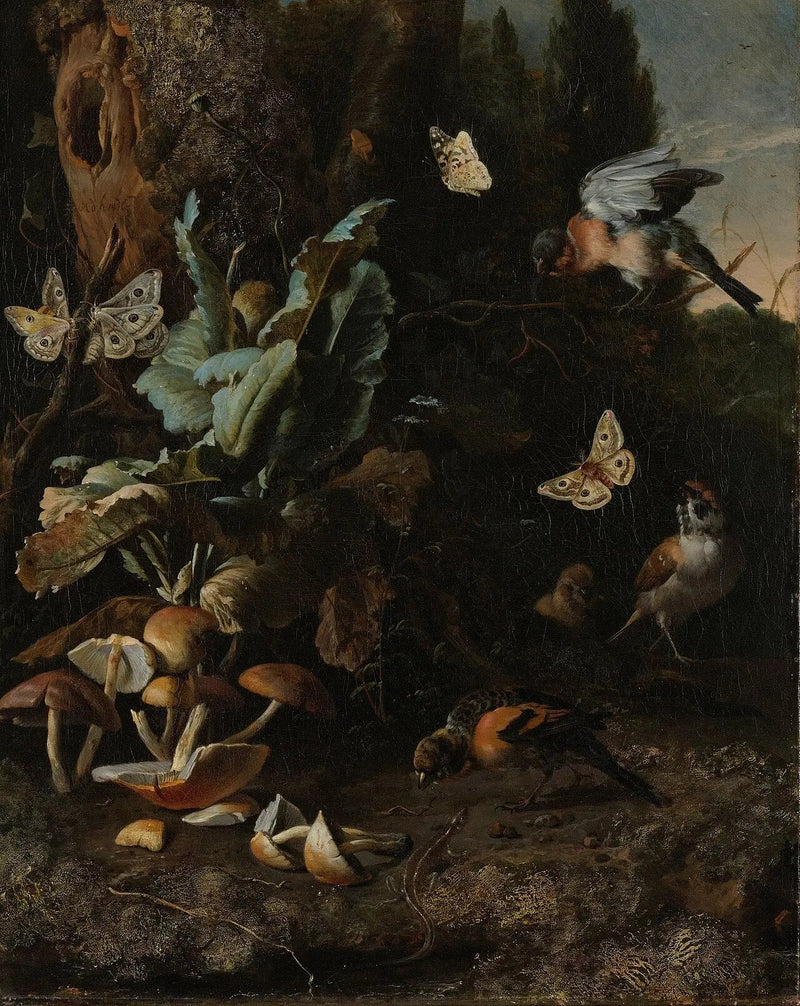 Zwierzęta i rośliny - Melchior de Hondecoeter