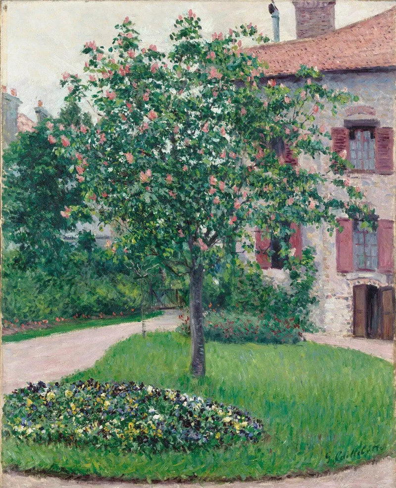 Kwitnące drzewo - Gustave Caillebotte
