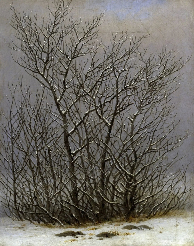Drzewa i krzewy pod śniegiem - Caspar David Friedrich