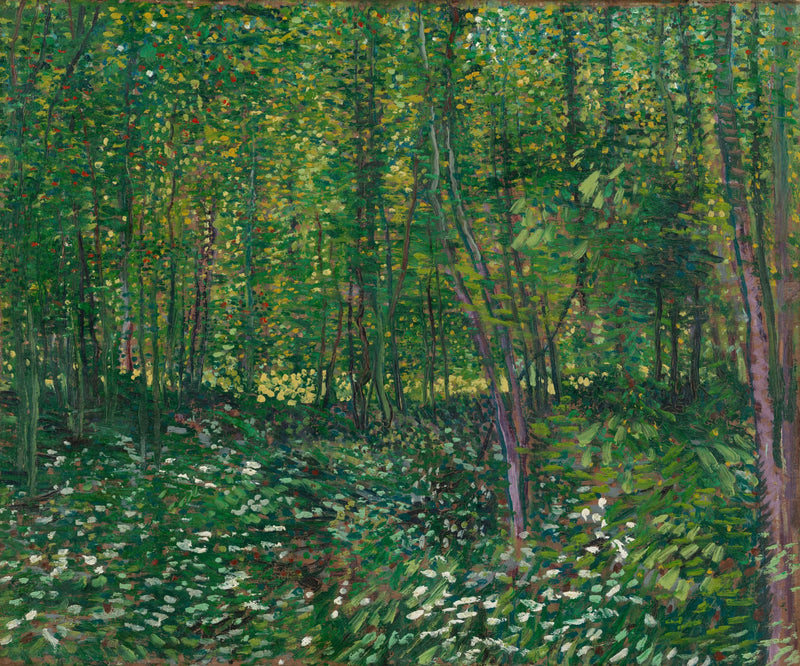 Drzewa i podszyt - Vincent van Gogh