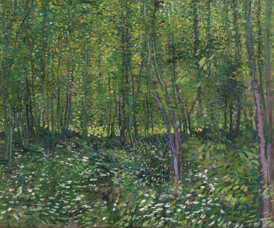 Drzewa i podszyt - Vincent van Gogh