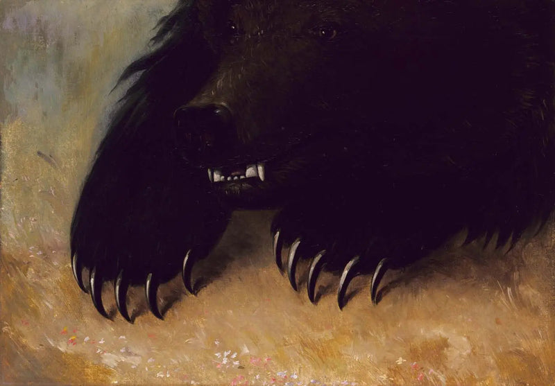 Broń i fizjonomia niedźwiedzia grizzly'ego - George Catlin