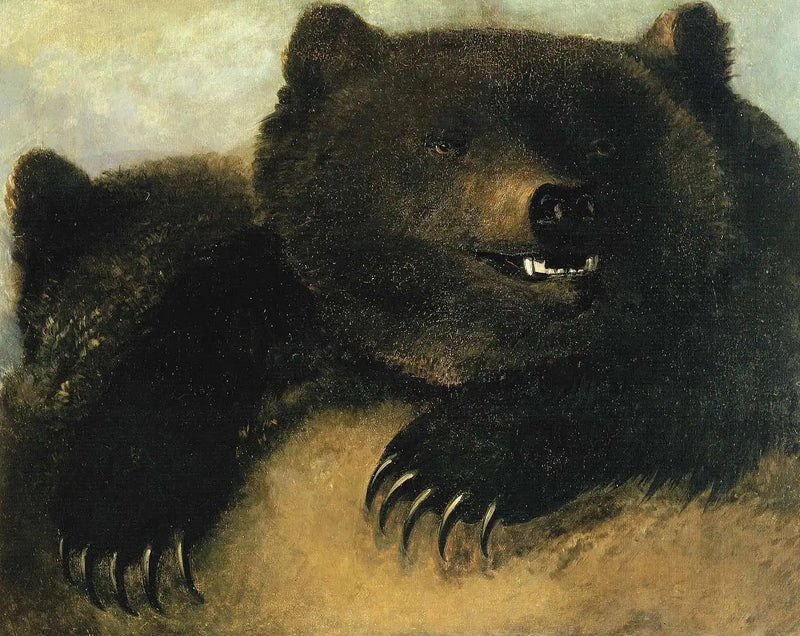 Broń i fizjonomia niedźwiedzia grizzly'ego - George Catlin