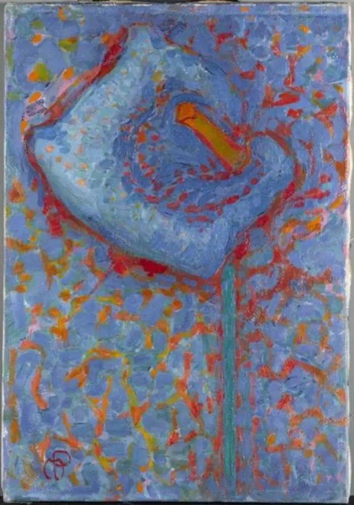 Arum Amerykański - Piet Mondrian