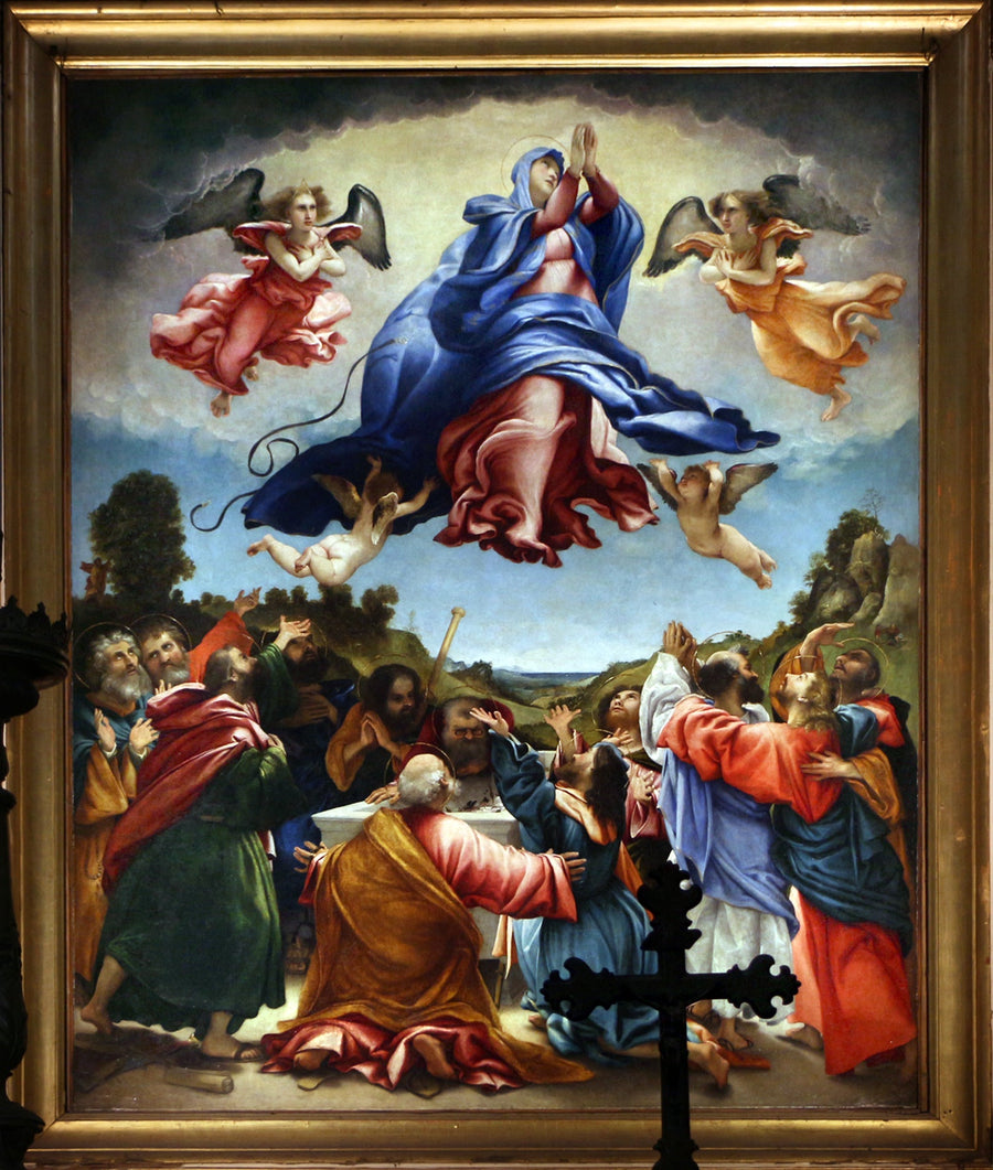 Wniebowzięcie Najświętszej Maryi Panny (Lotto Celana) - Lorenzo Lotto