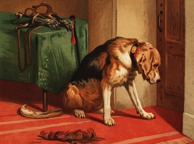 Oczekiwanie - Edwin Henry Landseer