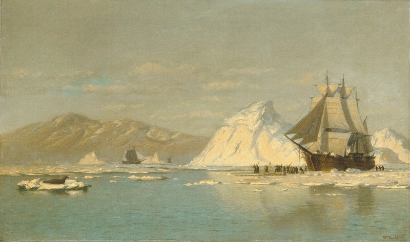 U wybrzeży Grenlandii — Płetwal w poszukiwaniu wolnych wód - William Bradford
