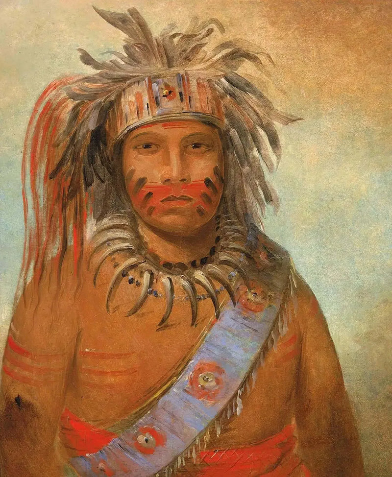 Au-nim-muck-kwa-um, ptak burzy - George Catlin