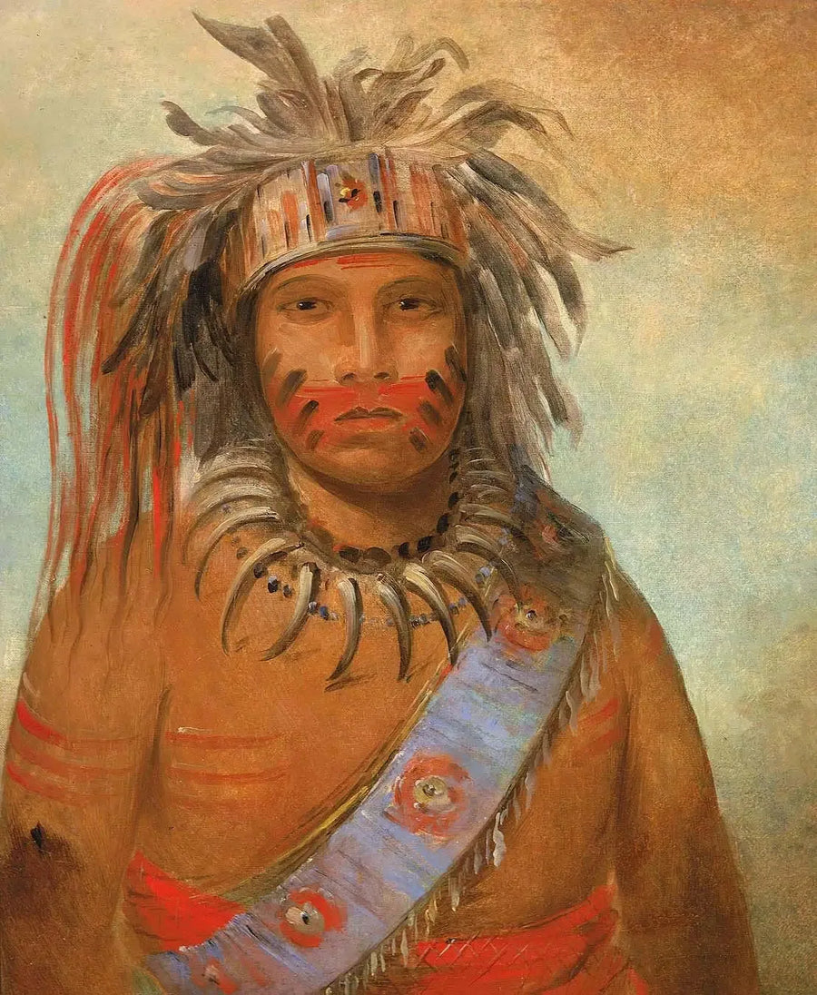 Au-nim-muck-kwa-um, ptak burzy - George Catlin