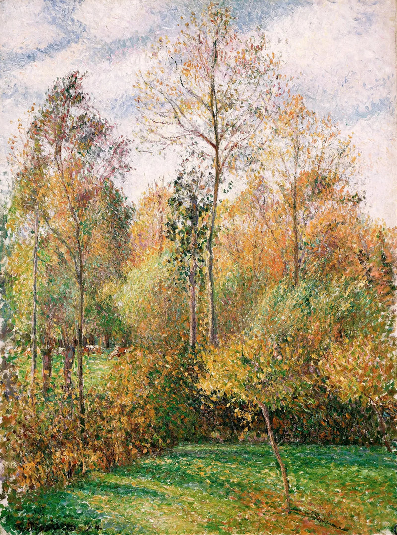 Jesień, Topole, Éragny - Camille Pissarro