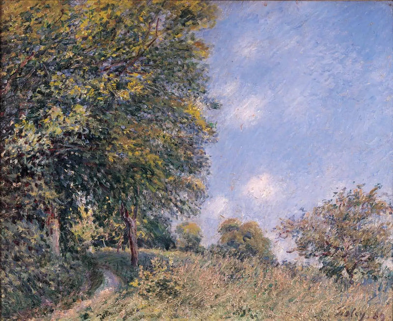 Wokół lasu, poranek lipca - Alfred Sisley