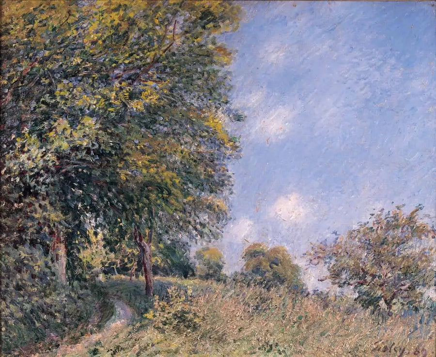 Wokół lasu, poranek lipca - Alfred Sisley