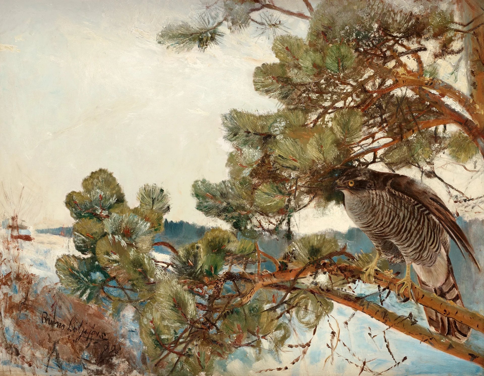 Autour des palombes - Bruno Liljefors image 1 tableau peint à l’huile sur toile
