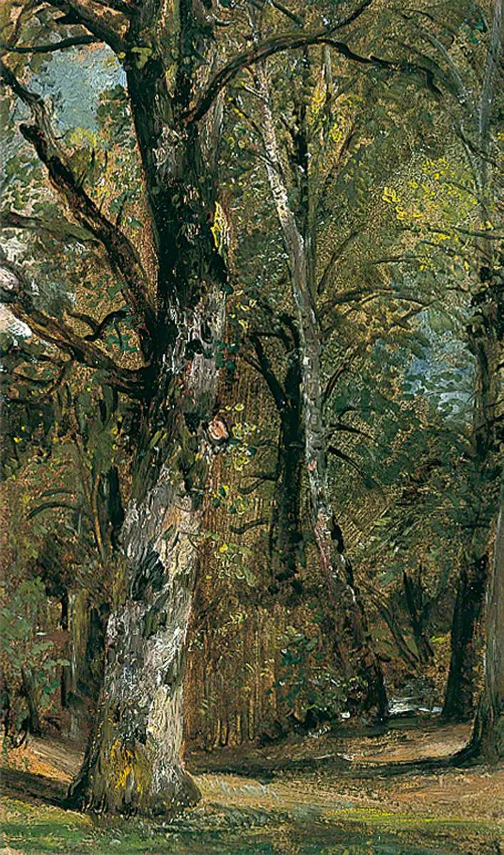 Aleja Drzew - John Constable