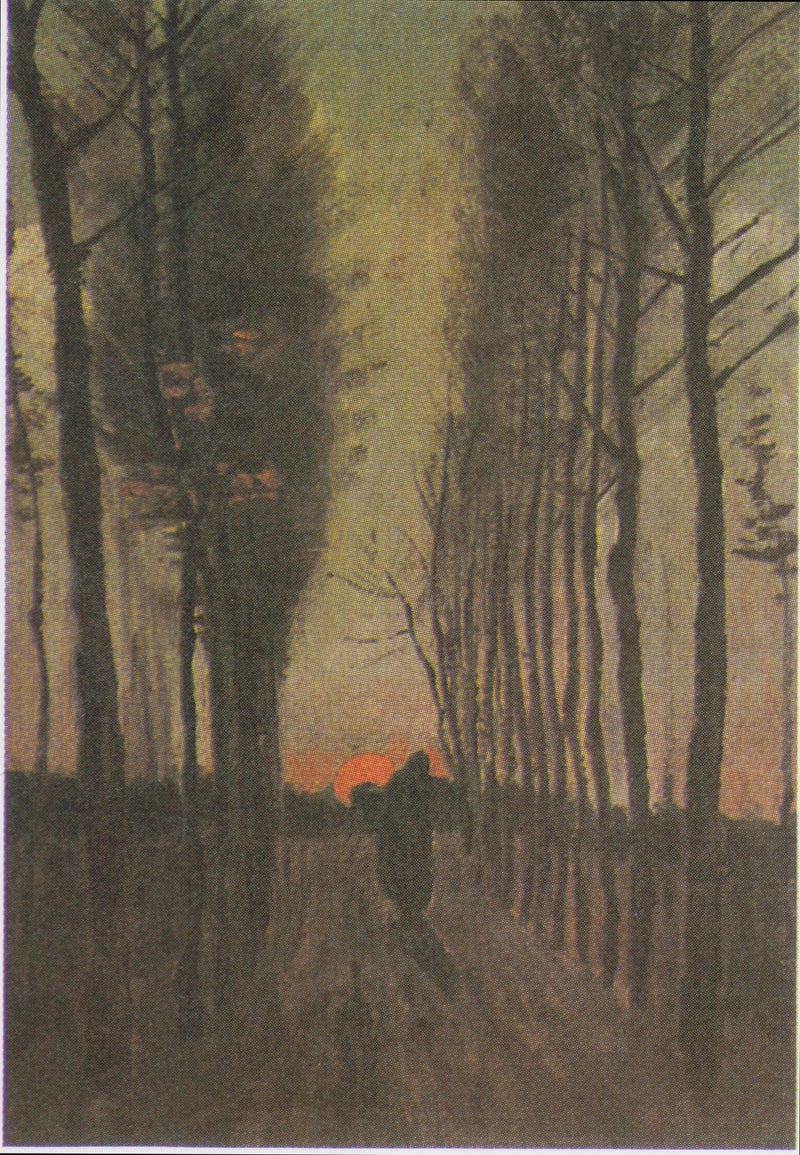Aleja topoli o zachodzie słońca - Vincent van Gogh