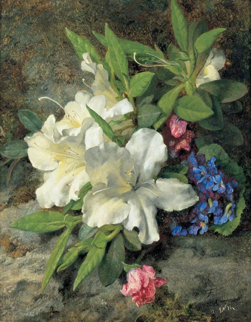 Białe azalie - Henri Fantin-Latour