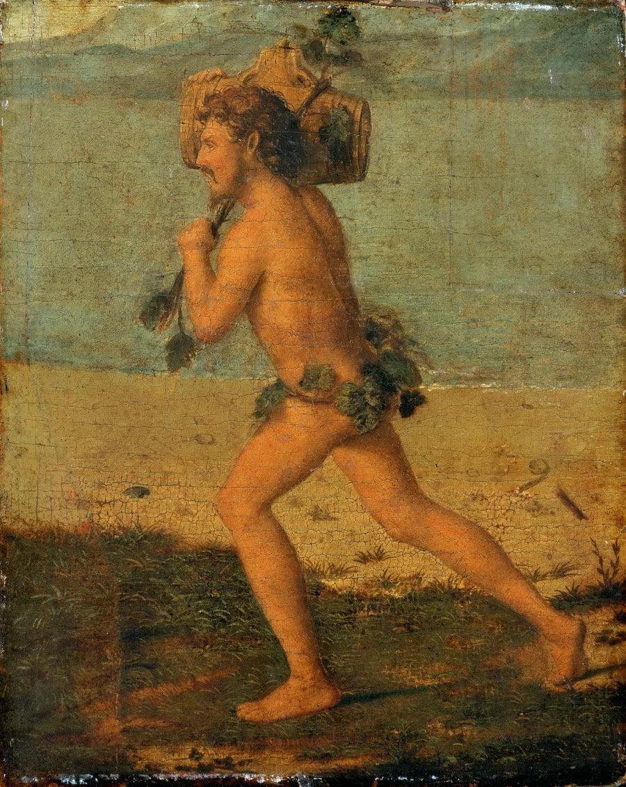 Bachantka - Cima da Conegliano