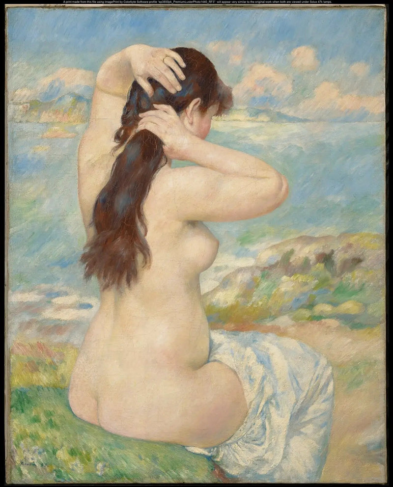 Kąpiąca się kobieta czesząca włosy - Pierre-Auguste Renoir