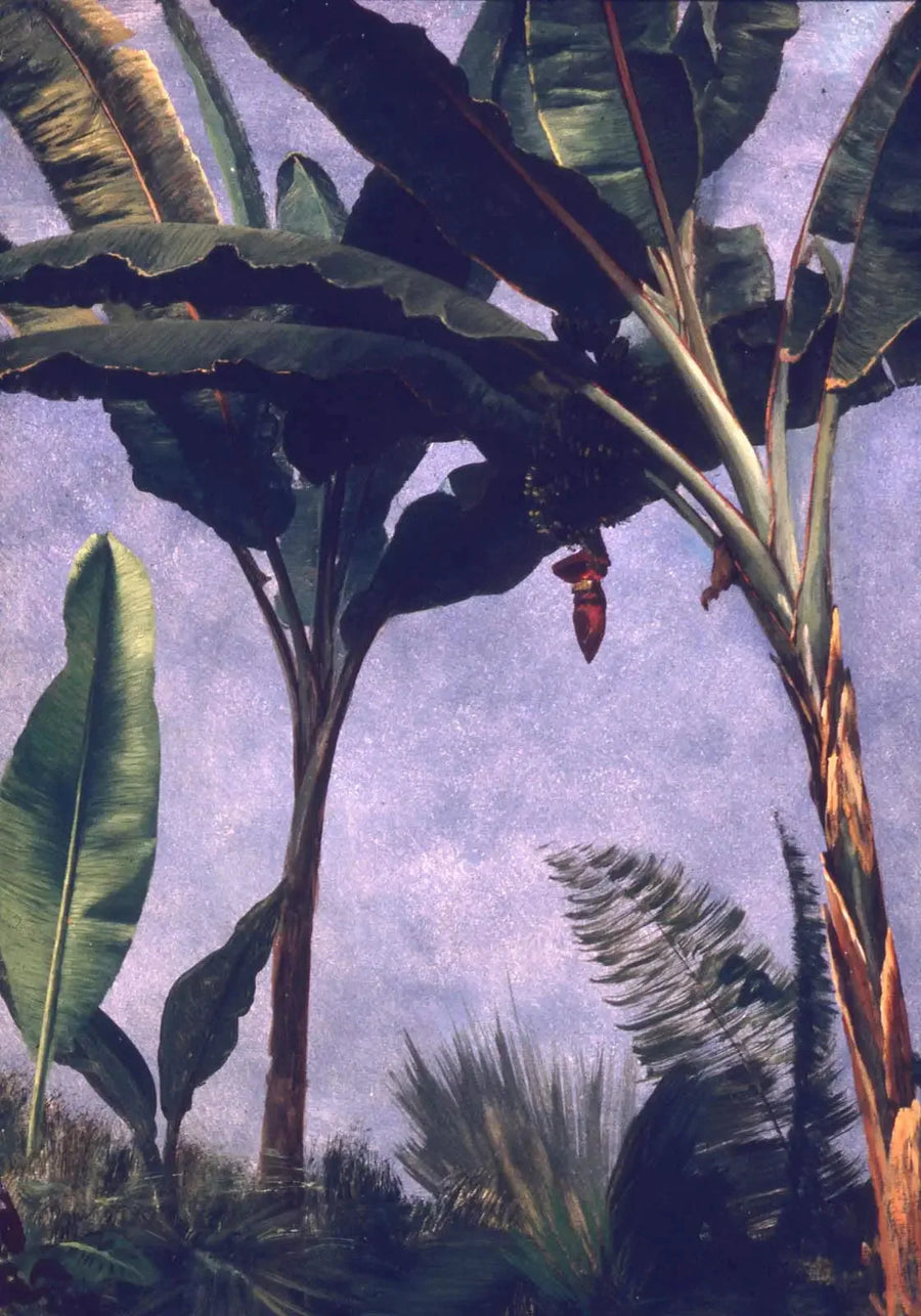 bananowce - Albert Bierstadt
