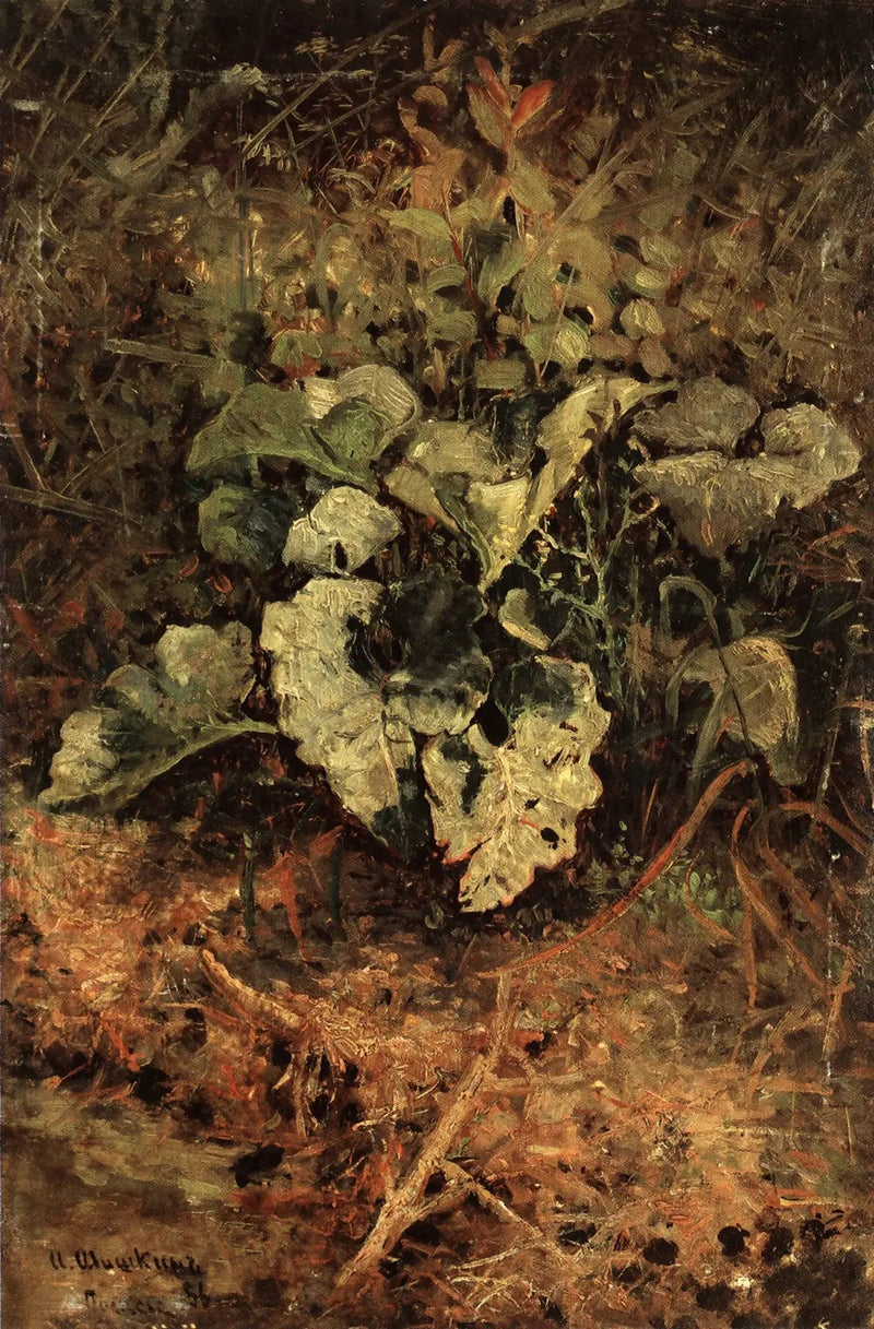 Bardana - Iwan Czichkin
