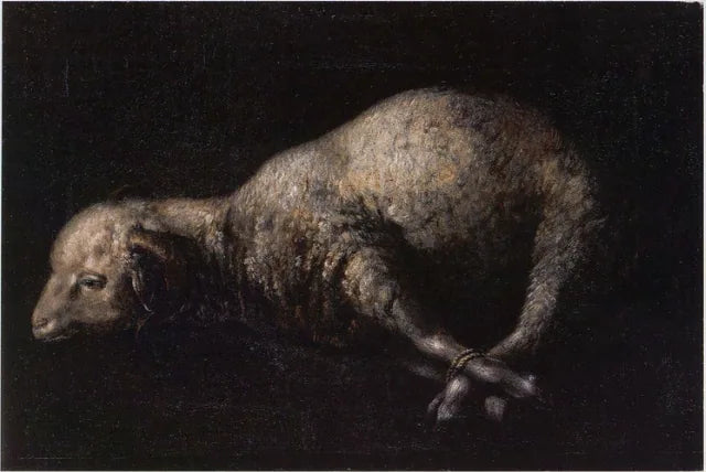 Baran z przywiązanymi nogami - Francisco de Zurbarań