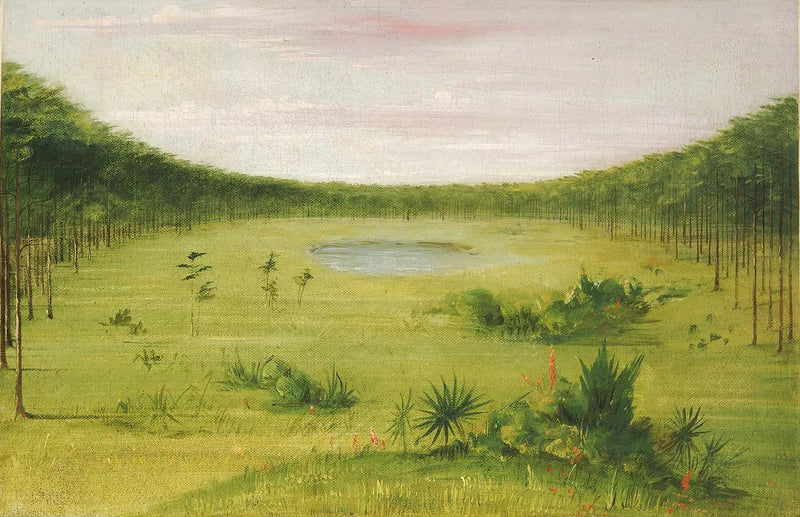 Piękna sawanna w sosnowych lasach Florydy - George Catlin